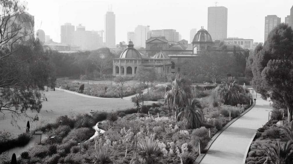 A History of Arboriculture - Melbourne