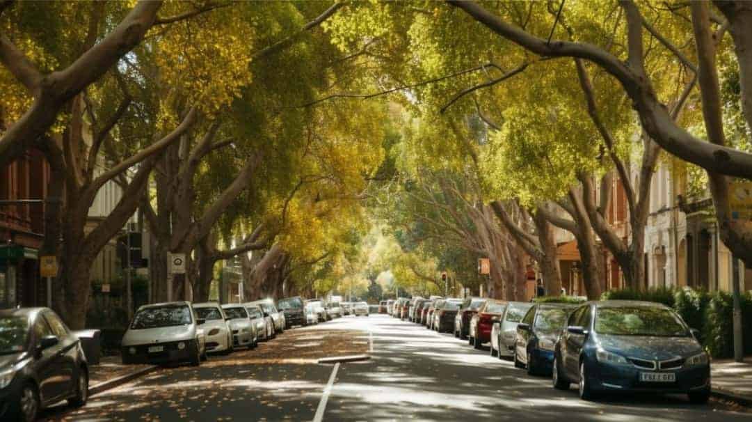Trees & Development - Bayside City Council